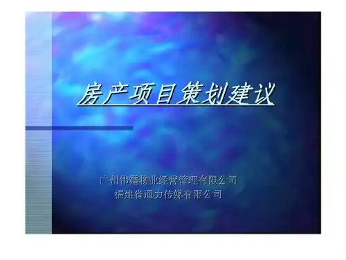 房产项目策划建议