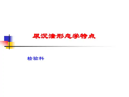 尿沉渣的形态PPT稿件课件