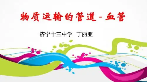 (丁丽亚)物质运输的管道