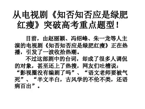 从电视剧《知否知否应是绿肥红瘦》突破高考重点题型