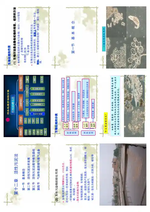 12活性污泥法1-9p