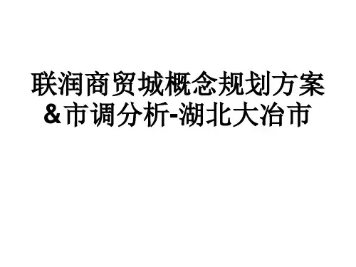 联润商贸城概念规划方案 市调分析-湖北大冶市