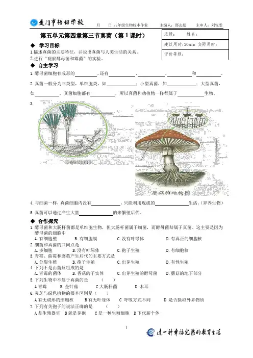 第五单元第四章第三节真菌 2