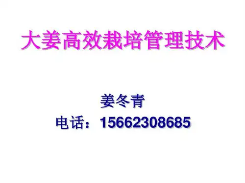 大姜高效栽培管理技术58页PPT