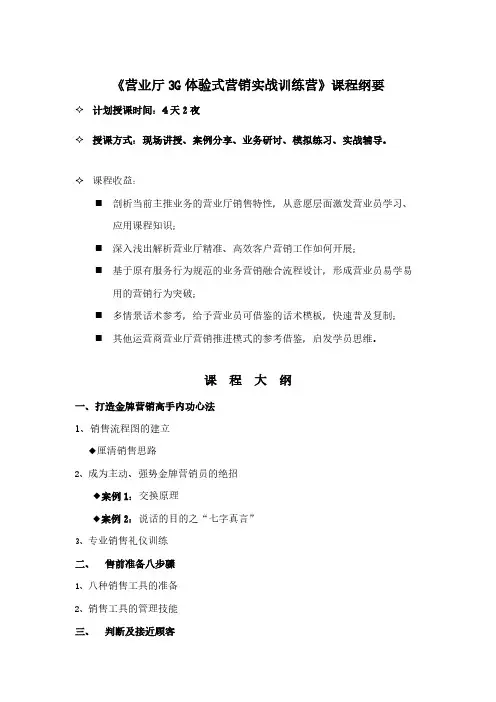 [VIP专享]营业厅3G体验式营销