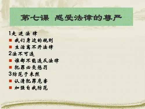 第七课 感受法律的尊严12