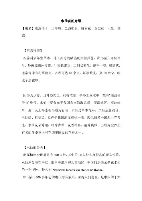 水仙花的介绍