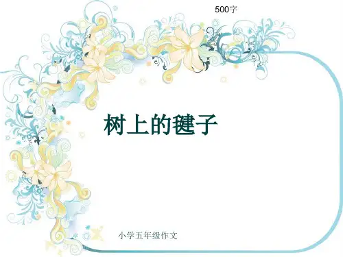 小学五年级作文《树上的毽子》500字(共8页PPT)