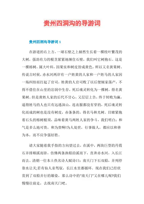 贵州四洞沟的导游词