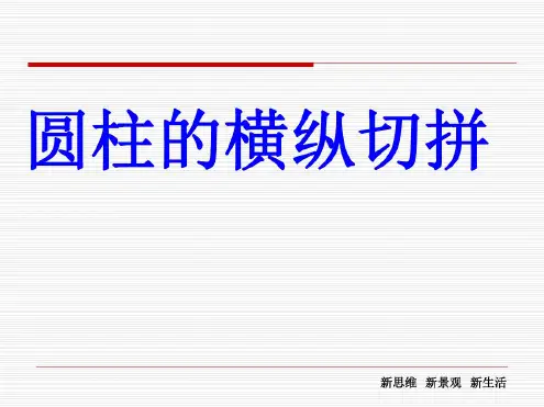 圆柱切拼综合练习