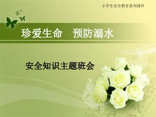 小学生防溺水安全教育讲座