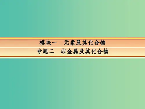 高考化学一轮复习 模块一 元素及其化合物 专题二 非金属及其化合物 考点三 硫及其化合物课件