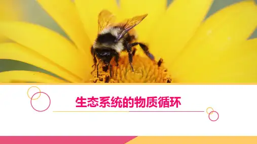人教版生物必修3第5章第3节 生态系统的物质循环