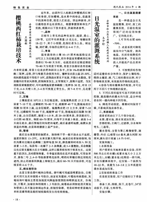 樱桃西红柿栽培技术