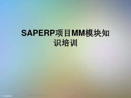 SAPERP项目MM模块知识培训
