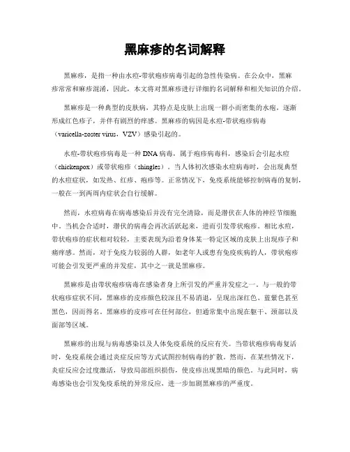 黑麻疹的名词解释