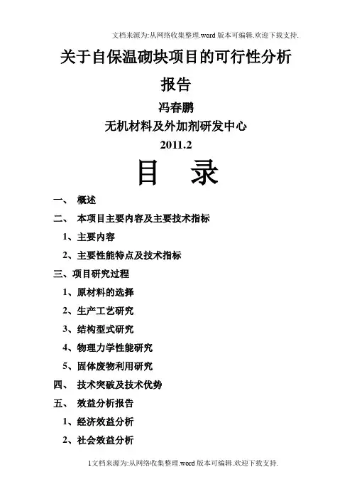 自保温砌块可行性分析报告_完整版