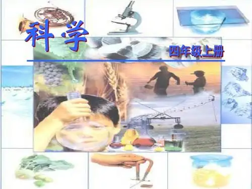 小学科学认识牙齿课件