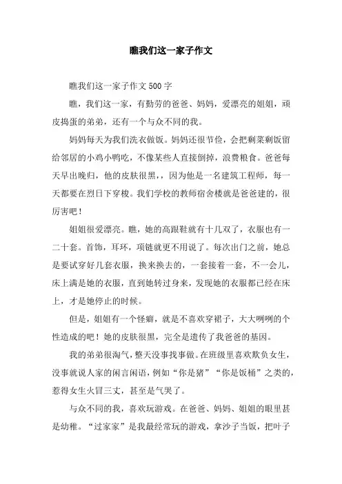 瞧我们这一家子作文_1