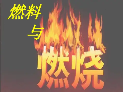 燃料与燃烧课件