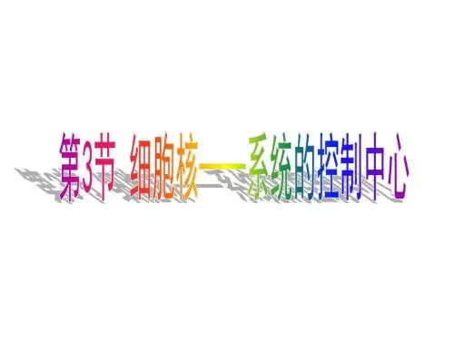 高中生物 第三章 第三节 细胞核——系统的控制中心课件 新人教版必修1