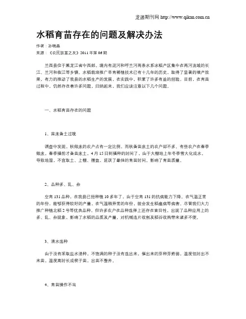 水稻育苗存在的问题及解决办法