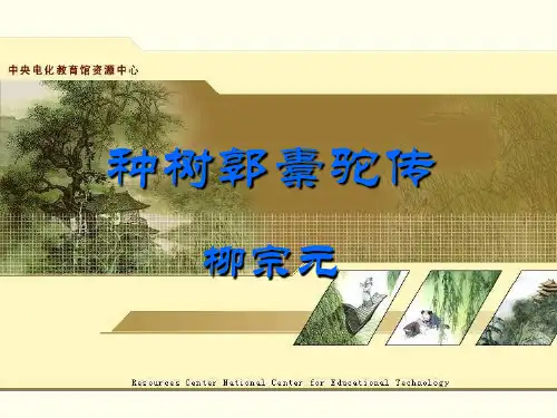 种树郭橐驼传ppt课件四