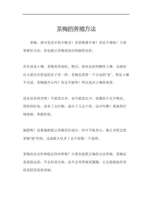 茶梅的养殖方法