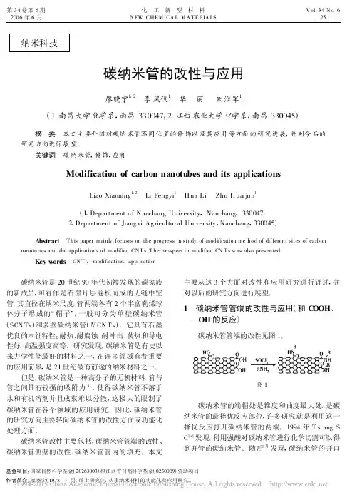 碳纳米管的改性与应用_廖晓宁