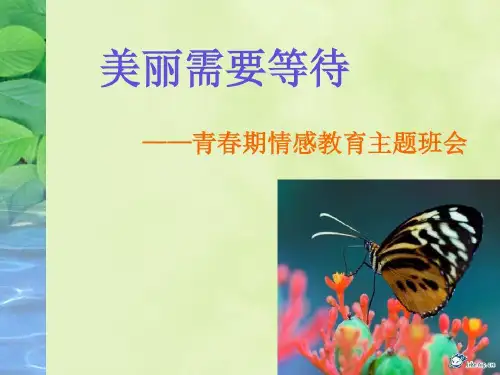 青春期情感教育主题班会—美丽需要等待-文档资料共24页文档