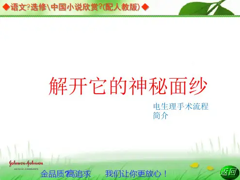 电生理手术简介