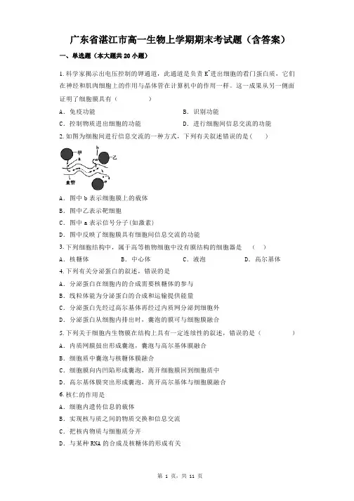 广东省湛江市高一生物上学期期末考试题(含答案)
