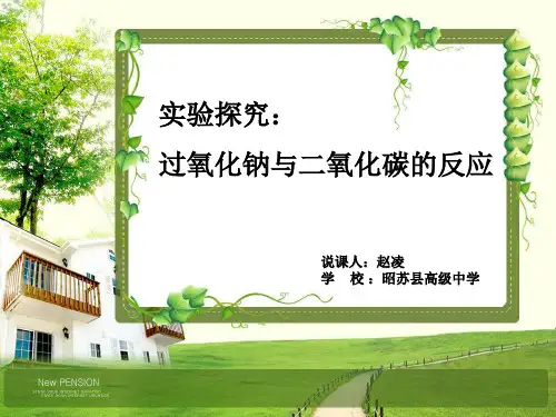 说课 实验探究: 过氧化钠与二氧化碳的反应答案
