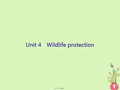 高三英语一轮复习Unit4Wildlifeprotection课件新人教版必修205081116