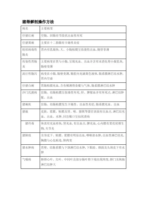 猪解剖流程及诊断图