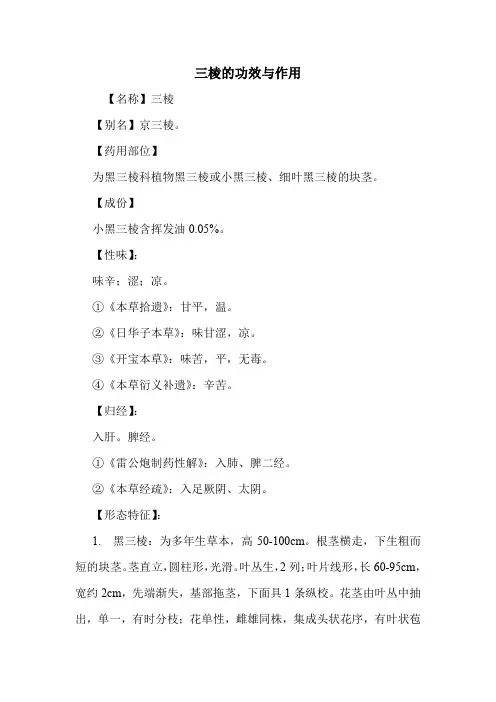 新编医药常识三棱的功效与作用