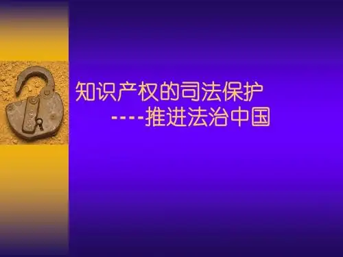 6知识产权司法保护