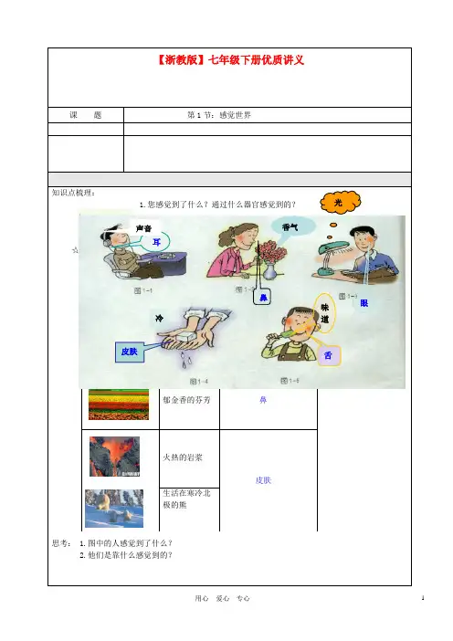 七年级科学下册 讲义1 第1节：感觉世界(无答案) 浙教版