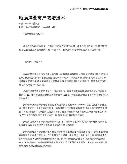 地膜洋葱高产栽培技术