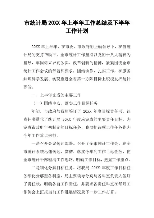 市统计局20XX年上半年工作总结及下半年工作计划