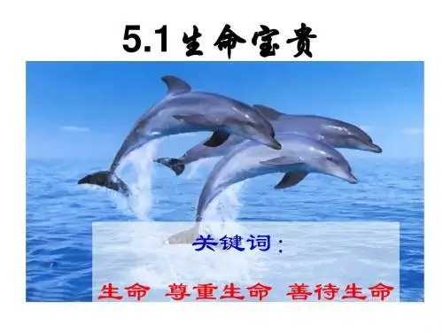 5.1第一课时生命宝贵