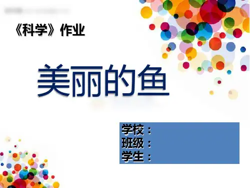 科学课：美丽的鱼PPT课件