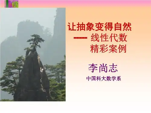 线性代数案例(精选)