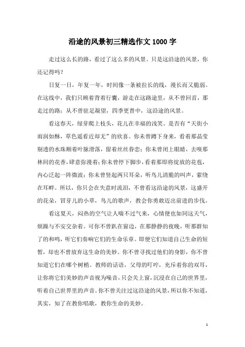 沿途的风景初三精选作文1000字