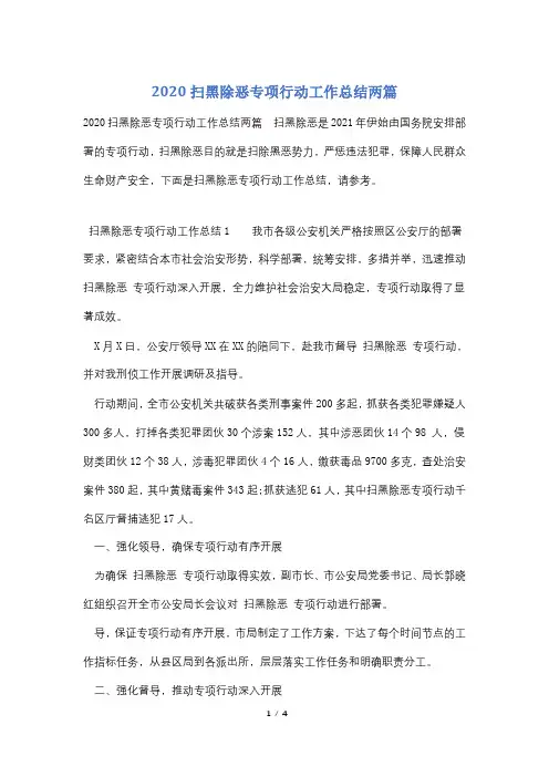 2020扫黑除恶专项行动工作总结两篇