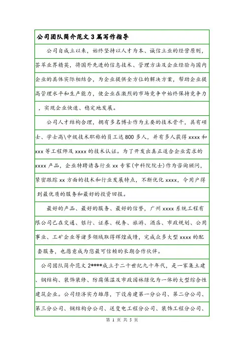 公司团队简介范文3篇写作指导.doc