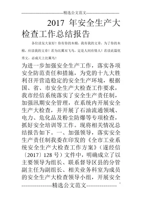 2017年安全生产大检查工作总结报告