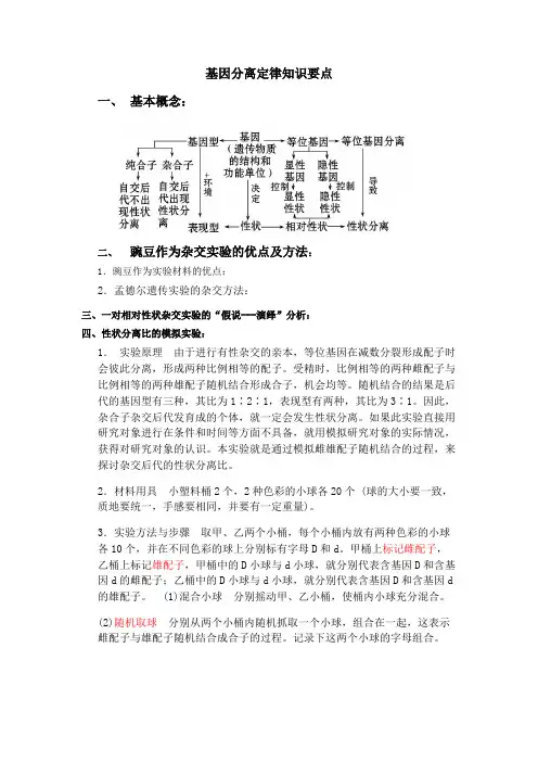 基因分离定律知识要点