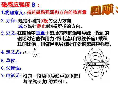 高中物理选修3-1第三章第三节   几种常见的磁场(第一课时)