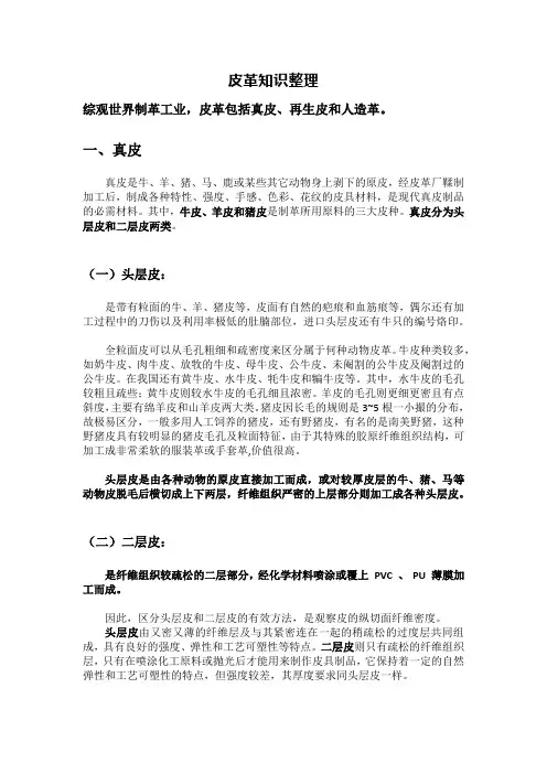 皮革知识梳理